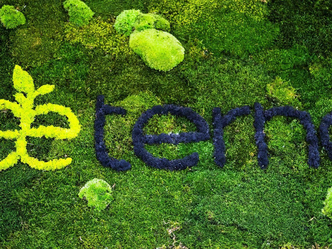 Aeterno Eco Guest House Rome Luaran gambar